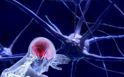 La naissance des neurosciences (1re partie)