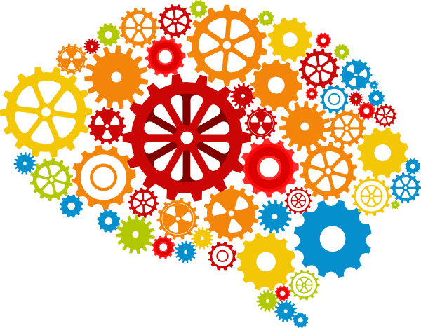 La naissance des neurosciences (seconde partie)