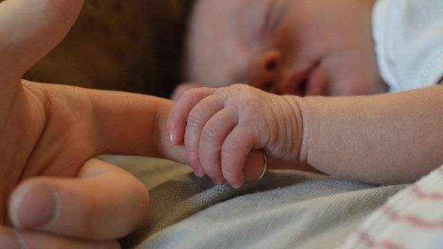 la théorie de l'attachement
